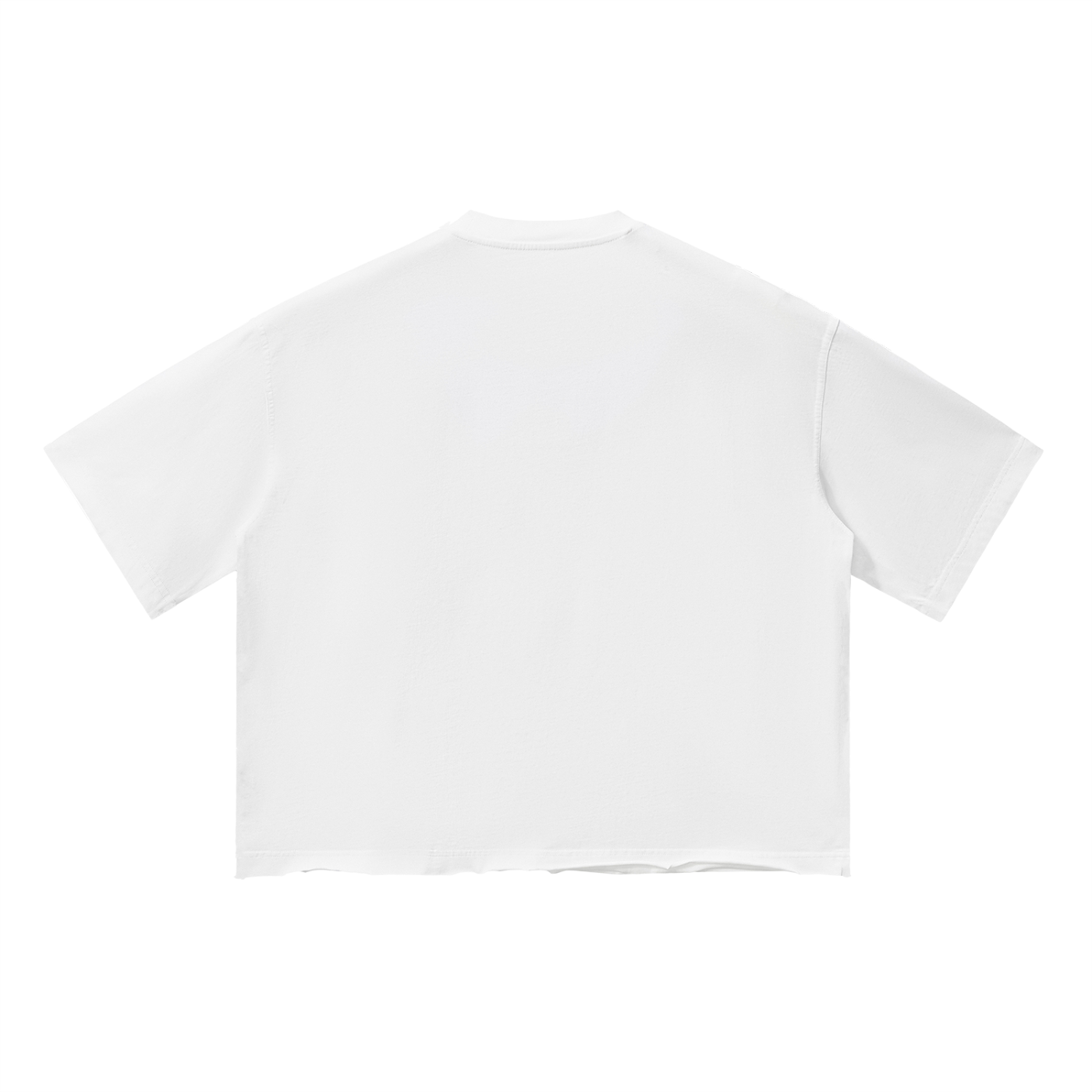 WEALTHY VICES "STANDARDS" WASHED BOXY TEE