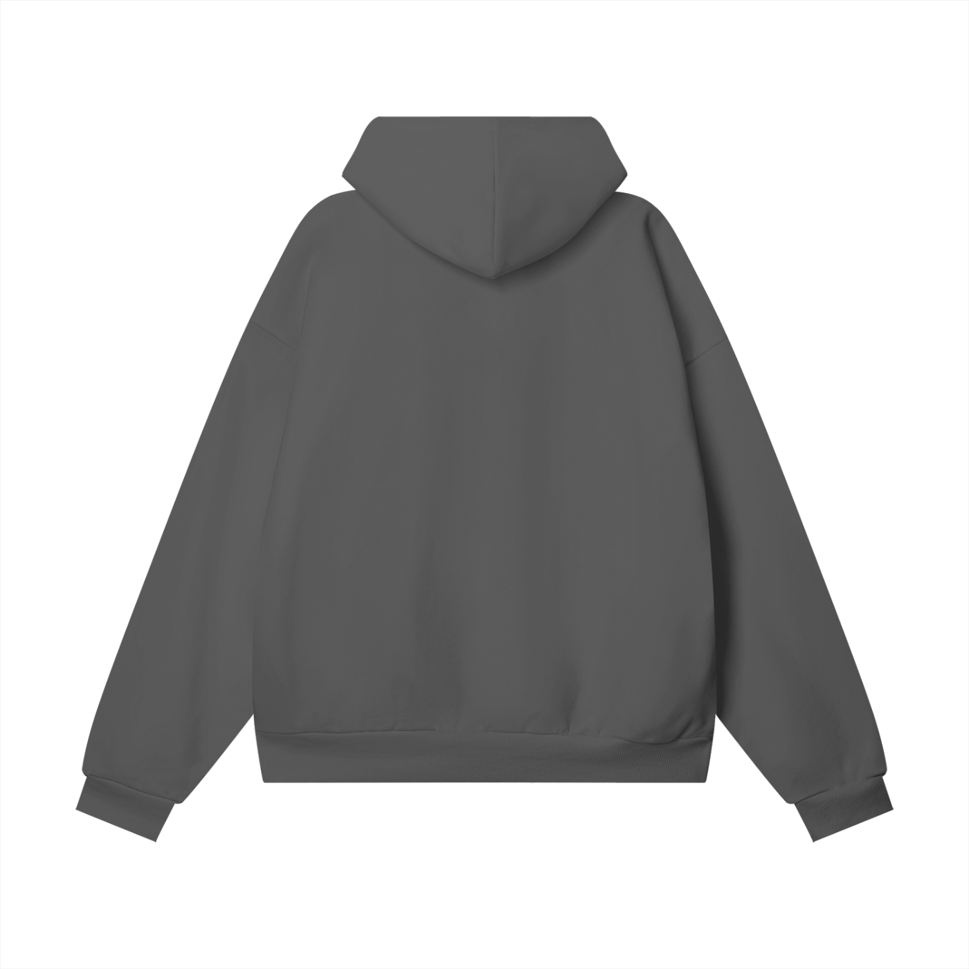 WEALTHY VICES PRIVATE ISSUE / 001 HEAVYWEIGHT HIDDEN POCKET HOODIE