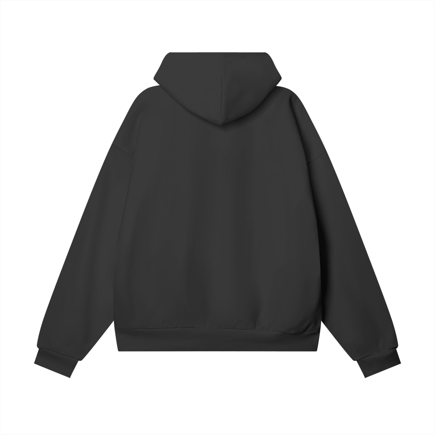 WEALTHY VICES PRIVATE ISSUE / 001 HEAVYWEIGHT HIDDEN POCKET HOODIE