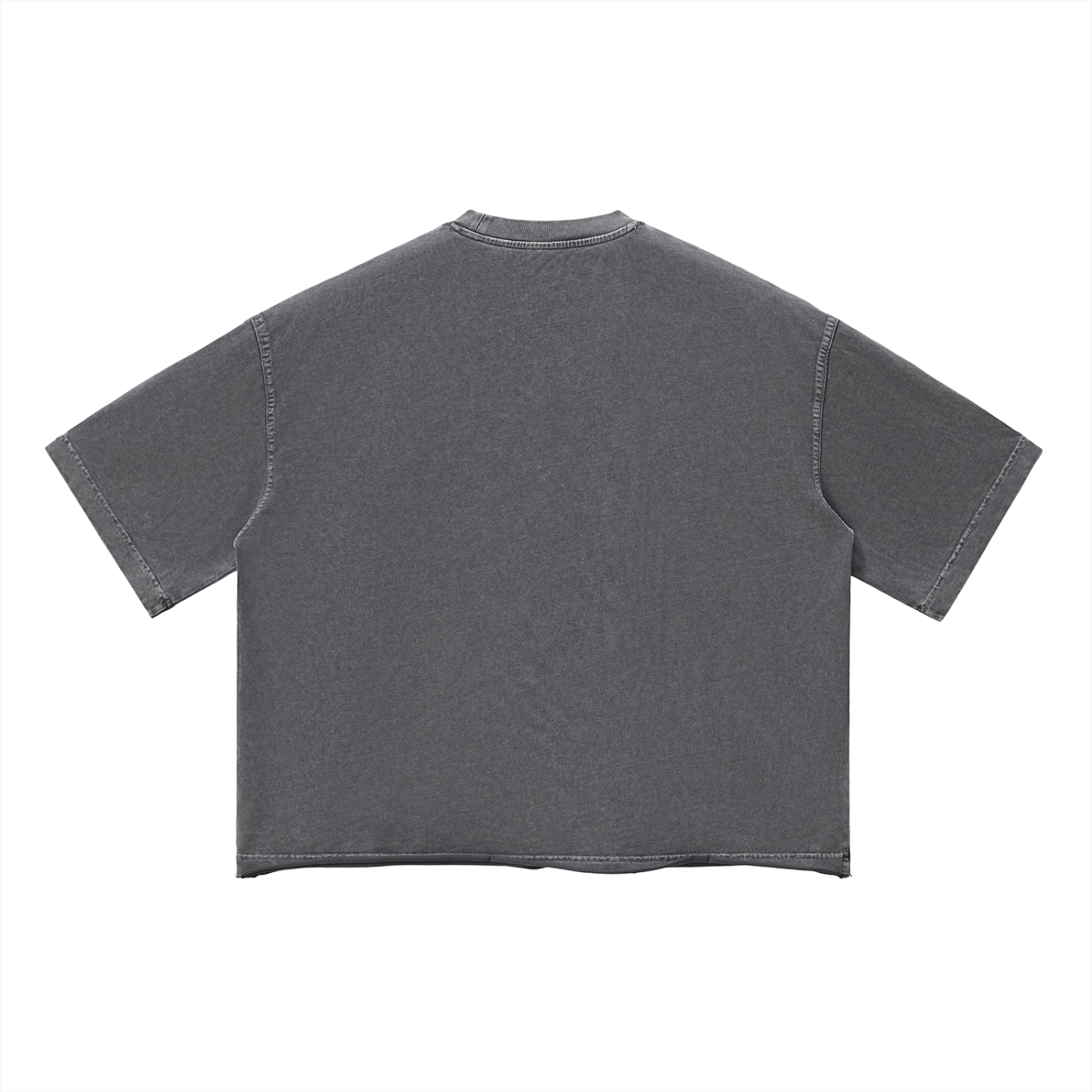 WEALTHY VICES "SAINTS & SINNERS" VINTAGE WASH BOXY TEE