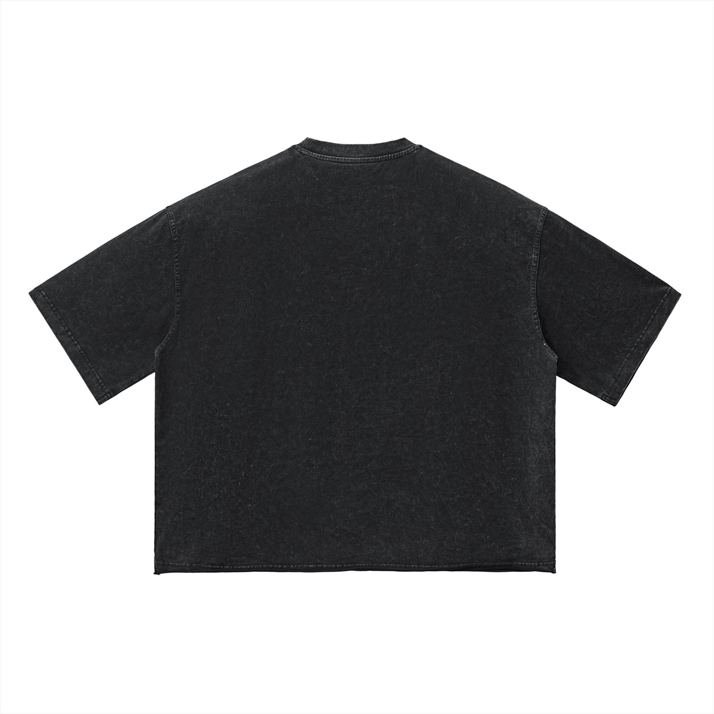 WEALTHY VICES "STANDARDS" WASHED BOXY TEE