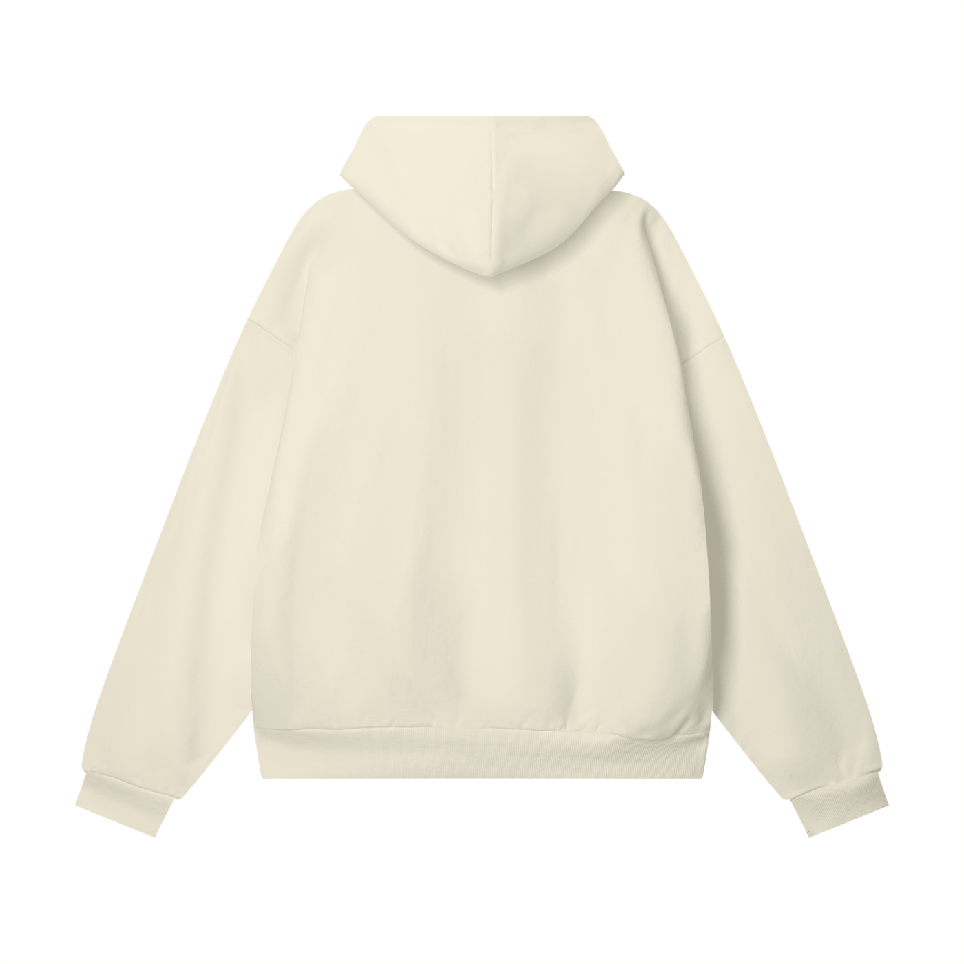 WEALTHY VICES PRIVATE ISSUE / 001 HEAVYWEIGHT HIDDEN POCKET HOODIE